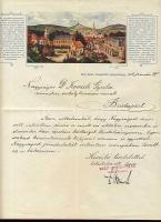 1906 Balf gyógyfürdő dekoratív igazgatói levélpapír + boríték