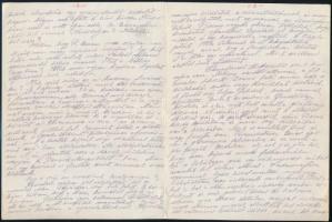 1917 Báznafürdő, A 68-as Jász-Kun Gyalogezred Károly-kereszttel kitüntetett hadnagyának 6 oldalas le...