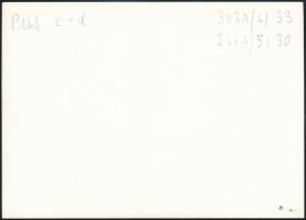 A "C" és "D" jelű őrnaszád, a Dunai Flottila hajói, az 1980-as években eredeti n...