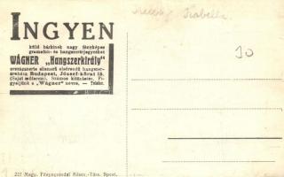 Budapest XII. Frivaldszky-Mauthner-Pálffy villa. Béla király út 20. Wagner hangszerkirály reklám a h...
