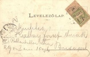 Tataros, Brusturi; bányatelep, Károly és Ferenc tárna. Benedek Mór fényképészeti műterméből / mine (...