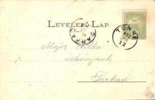 Tenke, Tinca; gyógyfürdő. Kiadja Lévy Dávid / spa