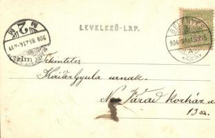 Belényes, Beius; Bélavára / Schloss / Caste  (EK)