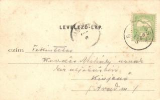 Biharfüred, Stina de Vale; nyaralók / villas (fl)