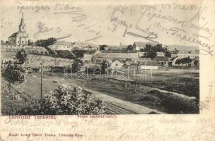 Tenke, Tinca; látkép templommal. Lewy Dávid kiadása / panorama view with church (EK)