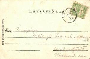 Tenke, Tinca; látkép templommal. Lewy Dávid kiadása / panorama view with church (EK)