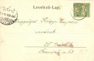 Belényes, Beius; Református templom. Wagner Vilmos fényképész kiadása / Calvinist church