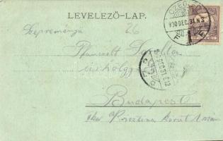 1900 Cegléd, Árpád tér, Takarékpénztár és Kereskedelmi Bank, Városháza, Szántó Sándor, Schwartz Gyul...