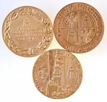 Lengyelország 1982. "Matka Boska Czestochowa (Czestochowa-i Szűz Mária)" aranyozott fém em...