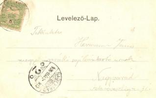 Székelyhíd, Sacueni; Vasútállomás és vendéglő, Tunyoghy Lajos üzlete és saját kiadása / railway stat...