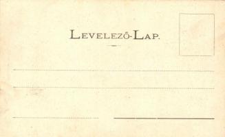 Kolozsvár, Cluj; Belmagyar utca, Fő tér, templom, Medgyesy és Nyegrutz, Biasini Sándor és Püspöky Mi...