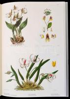Orchids from the Botanical Register 1815-1847. I-II. kötet. I. kötet. The Text. II. kötet. The Illus...