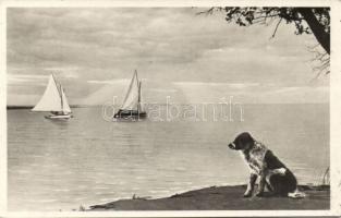 Balatoni vitorlák 10 db régi lap