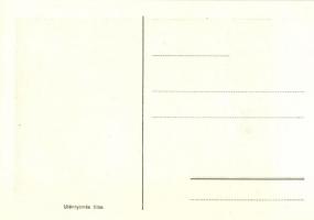 12 db RÉGI használatlan magyar politikusokról készült gúnyrajz kiváló minőségben. Gatto Nero szignóv...