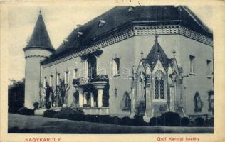 Nagykároly, Carei; Gróf Károlyi kastély / castle (EK)