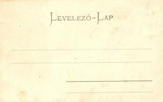 Budapest IX. Vámház körút, Las-Torres Gyula üzlete. Montázslap hintóval / montage postcard (EK)