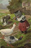 Cat feeding the ducks. T. S. N. Serie 1830. (6 Dess.) s: Arthur Thiele (EB)
