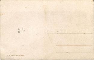 Cat feeding the ducks. T. S. N. Serie 1830. (6 Dess.) s: Arthur Thiele (EB)