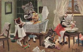 Reinlichkeit ist eine Zier! / Cats washing and bathing. T. S. N. Serie 1602. (6 Muster) s: Arthur Thiele