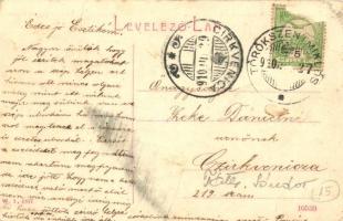 Törökszentmiklós, Pánthy Római Katolikus Leánynevelő Intézet, leánynevelde. W. L. 1817. (fa)