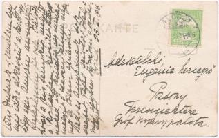 1916 Az alcsúti kastély kertje, József főherceg által készített fotólap