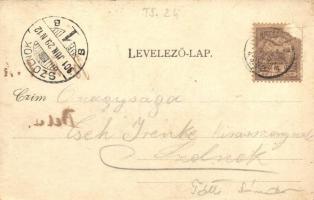 1901 Jászkarajenő, Római katolikus templom, Gyógyszertár, Református templom, Kanyó Károly üzlete és...