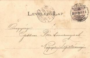 1898 Szolnok, Magyar Király Szálloda, Tiszai részlet, Hungária malom, gőzfűrész, üzletek, híd, Tisza...