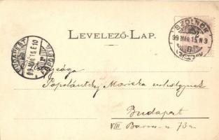 1899 Szolnok, M. kir. Pénzügyi Igazgatóság, Schlesinger Zsigmond üzlete, Református templom, híd, Sz...