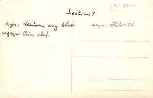 Szantornu magyar versenyló / Hungarian racing horse. photo (EK)