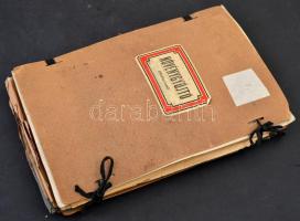 Herbárium (növénygyűjtő), több tucat préselt növény a múlt század első feléből