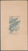1905 Rákóczinak öltözött színész, keményhátú fotó Hollósi József szatmári műterméből, a színész dedi...