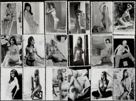 cca 1970-1980 27 db különféle szolidan erotikus fotó, különböző méretben