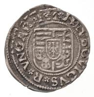 1527L-K Denár Ag "II. Lajos" előlapon részben veretkettőződés (0,52g) T:2
Hungary 1527L-K...