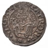 1565K-B Denár Ag "I. Ferdinánd" (0,5g) T:2
Hungary 1565K-B Denar Ag "Ferdinand I&quo...