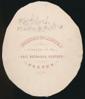cca 1865 gr. Festetics György (1815-1883) a király személye körüli miniszter, belső titkos tanácsi k...