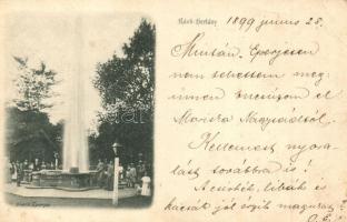 1899 Ránkfüred, Ránkherlány, Herlany; szökőkút. Divald kiadása / fountain (Rb)