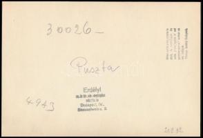 cca 1920 Puszta, fotó Erdélyi Mór budapesti műterméből, hátulján feliratozva, pecséttel jelzett, 13×...