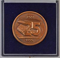 1995. "Budapesti Közlekedési Vállalat - Metró / 1970-1995" Br plakett, eredeti tokban T:1-