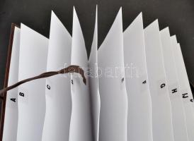 Igényes aranyozott műbőr betűrendes előrendező 30x33 cm