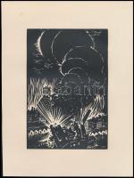 Frans Masereel (1889-1972): Háború, fametszet, papír, jelzett a metszeten, 16x11 cm