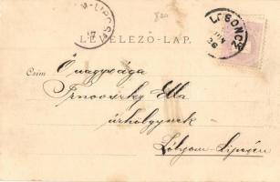 1899 Losonc, Lucenec; Kubinyi tér, Fogel Mátyás, Redlinger Ignác üzlete és saját kiadása. 1848-49-es...