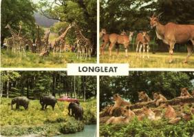 46 db modern használatlan európai képeslap