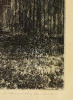 Csanády András (1929- ): Öreg kapu. Rézkarc, papír, jelzett, üvegezett keretben, 18×30 cm