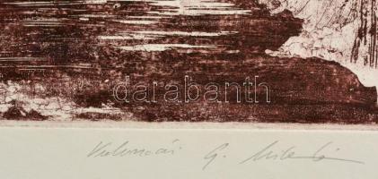 Kolozsvári Grandpierre Miklós (1950-): Ipoly. Színes rézkarc, papír, jelzett, 24×18 cm