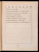 Napoleon album. I. Napoleon élrete és kora, írók tanulmányaiban, festőművészek festményeiben és rajz...