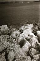 cca 1973 Nudizók a jugó tengerparton, 30 db szolidan erotikus felvétel negatívja, 24x36 mm