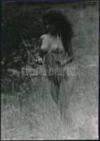 cca 1987 Sose feledd, szolidan erotikus felvételek (a pozitív és negatív felvételek nem összetartozó...