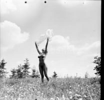 cca 1980 Naturista szemlélet, szolidan erotikus felvételek (a pozitív és negatív felvételek nem össz...