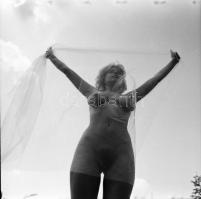 cca 1980 Naturista szemlélet, szolidan erotikus felvételek (a pozitív és negatív felvételek nem össz...