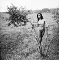 cca 1979 Elölről is, hátulról is, szolidan erotikus felvételek (a pozitív és negatív felvételek nem ...